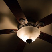 Indoor Ceiling Fans